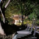 용마체육관 | 🌲용마산 야간산행 후기-🌙서울 도심 속 야경 명소