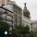 돈키호테 이미지