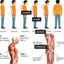 바른자세 Pt짐 이미지