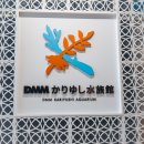 장수카닥터샵 | 오키나와 렌터카로 마지막날 들르기 좋은 실내 수족관, DMM 카리유시 수족관 후기 (주차장 무료·비올...