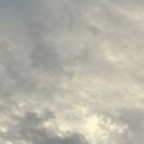 연세위너스재활의학과의원 이미지