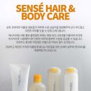 손혜영헤어
