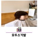 모두스가발