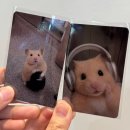 오늘도 출근햄니다’ 방문 후기 & 현장 예약 대기 후기 / 오픈일 방문후기 / 내돈내산 굿즈 후기