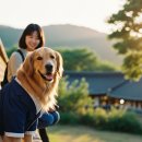 으뜸반려견유치원 네이버블로그