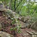 중원-100 이미지