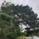 사매면 인화마을 이미지