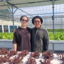 김경태농장 이미지