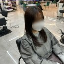 앤지컨설팅 | 창원 상남동 미용실 | 허쉬펌 잘하는 엘엔지헤어살롱 솔직후기