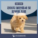 고척원동물의료센터 이미지