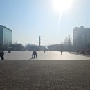 일산문화문화-74 티스토리