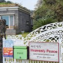 제주 올레길 9코스 이미지