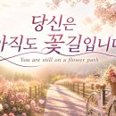 혜은이 오마주 신곡 - 당신은 아직도 꽃길입니다 You are still on a flower path 이미지
