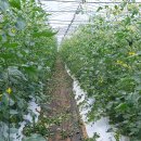 (주)휴팜 이미지