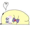 박앤박