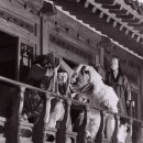 농악천하지대본 - 농악콘서트 YOUNG인전 | 강릉단오제 단단 페스티벌 주차장 공연 일정 관노 가면 인형극 영산홍 콘서트