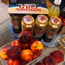 군산시-02820 | 첫 만남은 계획대로 되지 않지만 첫 유럽! 첫 비행!