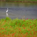 가야벽산 이미지