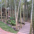 글로리야 이미지