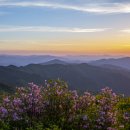 지리산 - 부천시 소사구 은성로 40 | 지리산