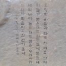 몰운대 시비 이미지