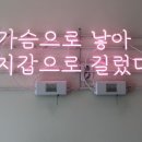 코모네펫하우스 이미지