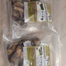 안충기 애견스쿨 이미지