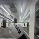 매드핏 복싱 이미지