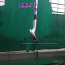 골프신지환 이미지