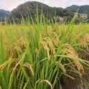 경춘로1350번길36 이미지