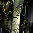 송죽농장 이미지