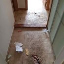 대성종합관리 이미지