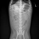 해피동물병원 이미지