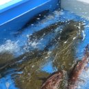 완도프라자 이미지