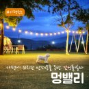 멍밸리 | 가평 ‘멍밸리’ 펜션 추천: 1000평 운동장과 수영장이 있는 반려견 동반 숙소