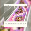 온누리장례서비스 | 부산무빈소장례 후기, 온누리장례문화원에서 차분하게 진행했어요