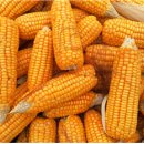 남수농장 이미지