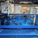 오라수산 이미지