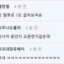 실시간) 이청용 골 넣고 골프 세레머니 ㄷㄷㄷㄷ.gif 이미지