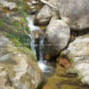 도림사계곡 이미지