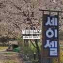 강촌커플가족세이셀펜션 이미지