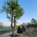 율이리농장 이미지