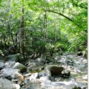 곰배령마루 이미지