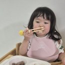 희망농수산 | 올겨울 마지막 석화찜 수원농수산물시장 '(주)희망수산' 석화5kg 가리비 모듬회 구매 후기