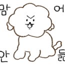 미드나잇의원 이미지