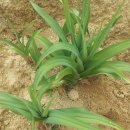 도연농원 이미지