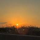 제주공항게스트하우스그린데이 이미지