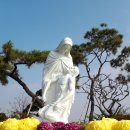 알프스마을 얼음축제와 칠갑산 흔들다리 이미지