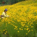 좌구산휴양림약수터 이미지