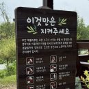 국화황토공원 | 전북 가볼 만한 곳. 황토 맨발 걷기 길이 있는 부안 해 뜰마루 정원